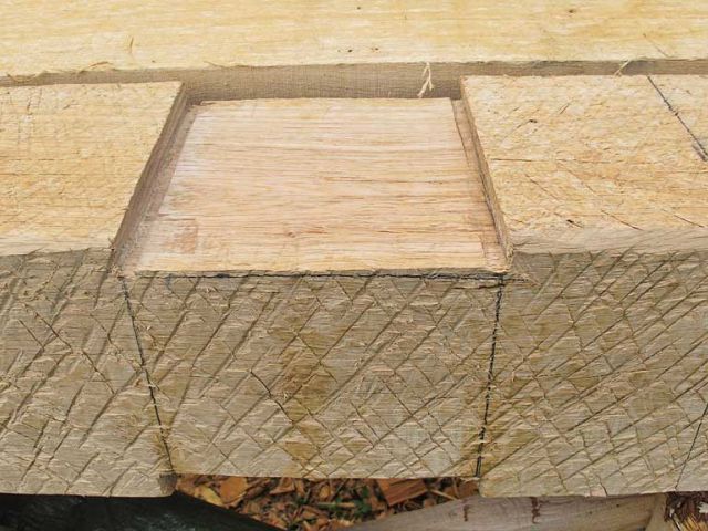 so_19_20150126_1926736613