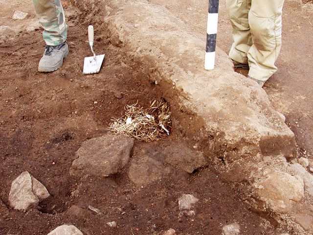 gr_4_20150122_1970840315