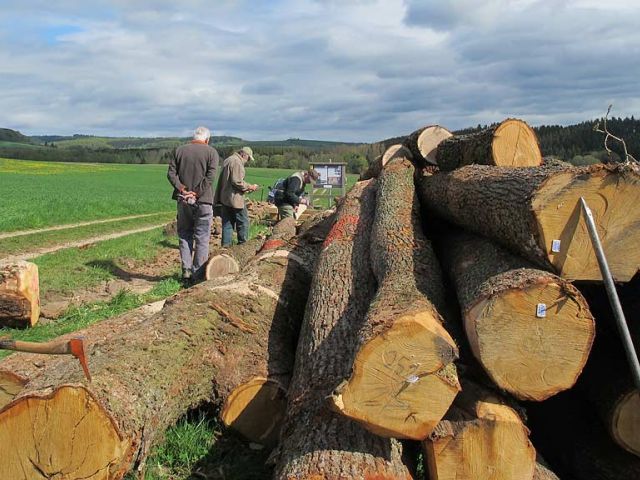 sae_16_20150126_1949502089