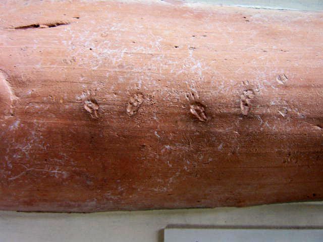 a_23_20150123_1432363321