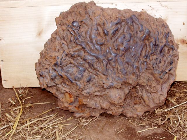 t_9_20150124_1111998131