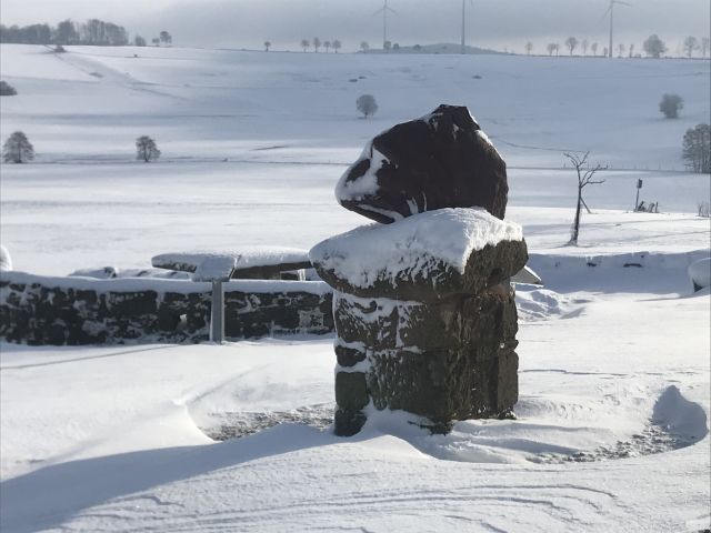 winter_2019_20_4_20200303_1616956616