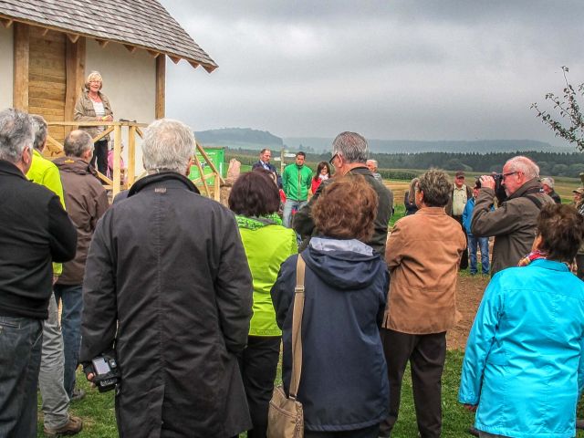 6pf_110_20150126_1666277366