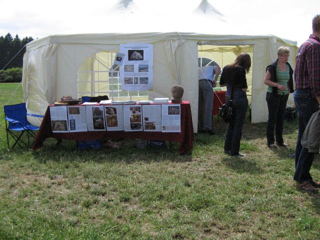 bo_3_20150123_1271752336