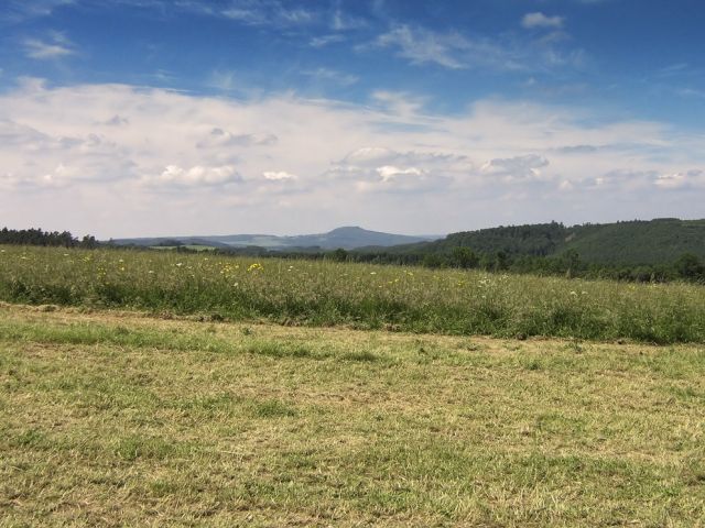 bo_6_20150123_2096832679