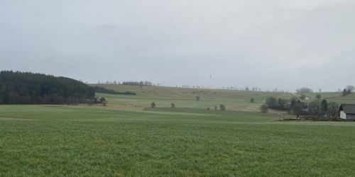 Jahresrückblick 2024 und Ausblick 2025