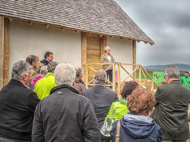 6pf_102_20150126_1752542678