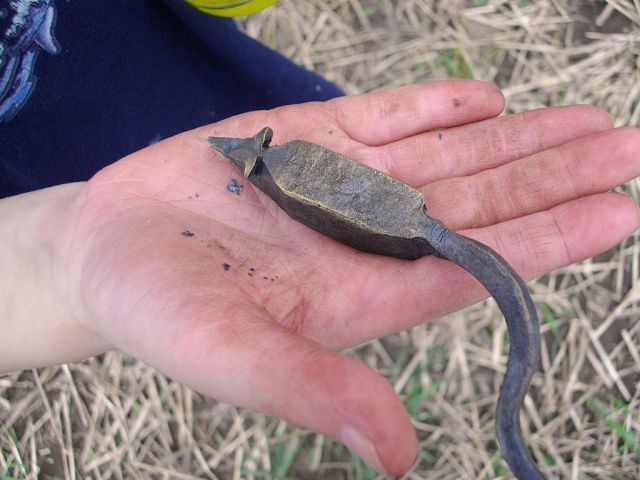 t_22_20150124_1445938079