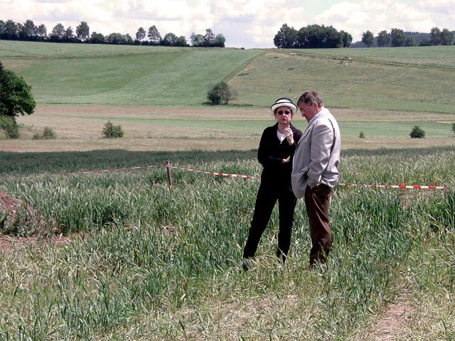 zz_4_20150124_2000845109