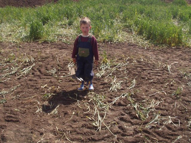 t_4_20150124_1962894808