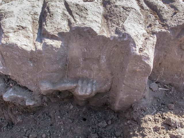 2016_12_20160919_1265339745