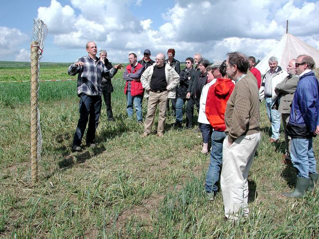 zz_29_20150124_1789208424