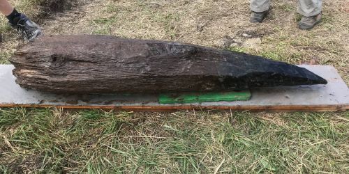 Einladung zur Mitgliederversammlung 2025 mit anschließendem Vortrag